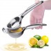 metal juicer hand press
